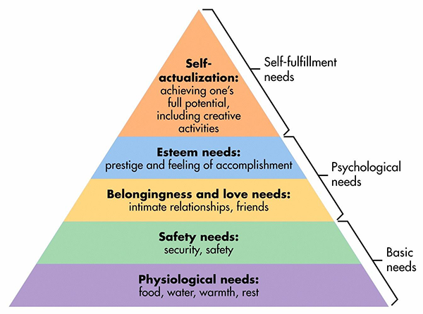 Organisational motivation